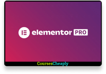 Elementor Pro