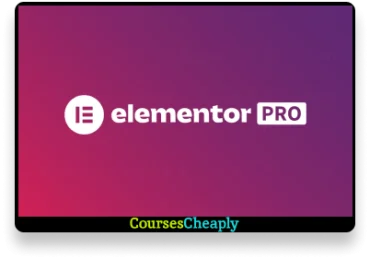 Elementor Pro